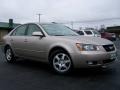 Golden Beige - Sonata GLS V6 Photo No. 8
