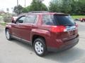 Merlot Jewel Metallic - Terrain SLE Photo No. 10
