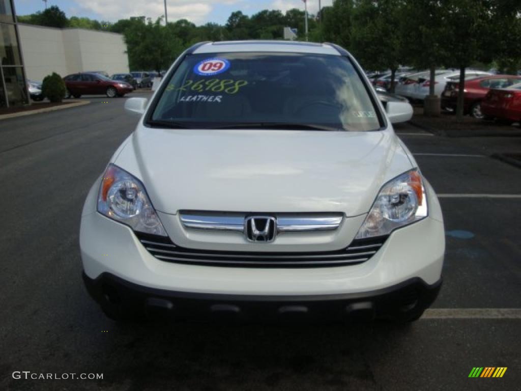 2009 CR-V EX-L 4WD - Taffeta White / Gray photo #6