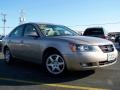 2007 Golden Beige Hyundai Sonata SE V6  photo #8