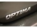 Metal Bronze - Optima LX Photo No. 44
