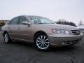 2008 Golden Beige Hyundai Azera Limited  photo #8