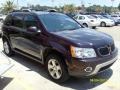 2006 Purple Haze Metallic Pontiac Torrent   photo #5