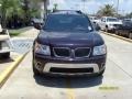 2006 Purple Haze Metallic Pontiac Torrent   photo #6