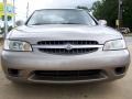 2001 Brushed Pewter Nissan Altima GXE  photo #13