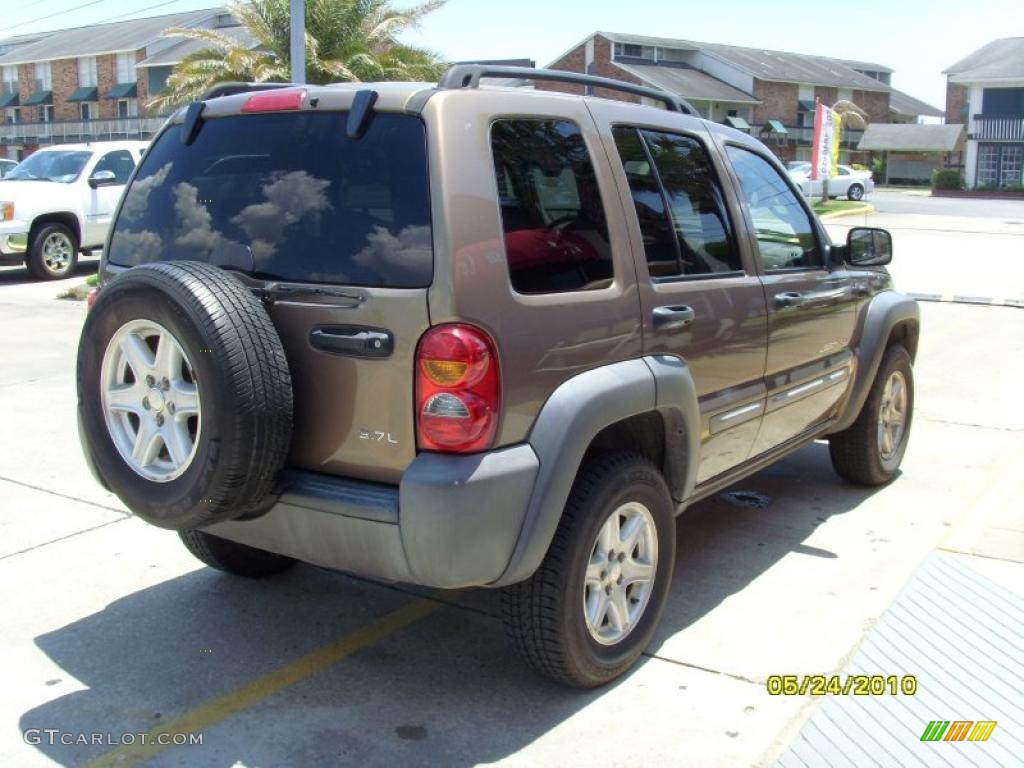 2002 Liberty Sport - Woodland Brown Satin Glow / Taupe photo #4