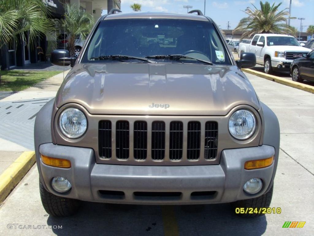 2002 Liberty Sport - Woodland Brown Satin Glow / Taupe photo #6