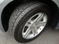 Silver Steel Metallic - Charger SXT Photo No. 19