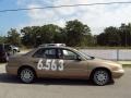 Gold Metallic - Century Custom Photo No. 9