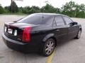 Sable Black - CTS Sedan Photo No. 5