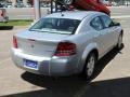 Bright Silver Metallic - Avenger SE Photo No. 5