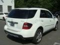 2008 Arctic White Mercedes-Benz ML 350 4Matic  photo #4