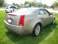 Light Platinum - CTS 4 AWD Sedan Photo No. 4