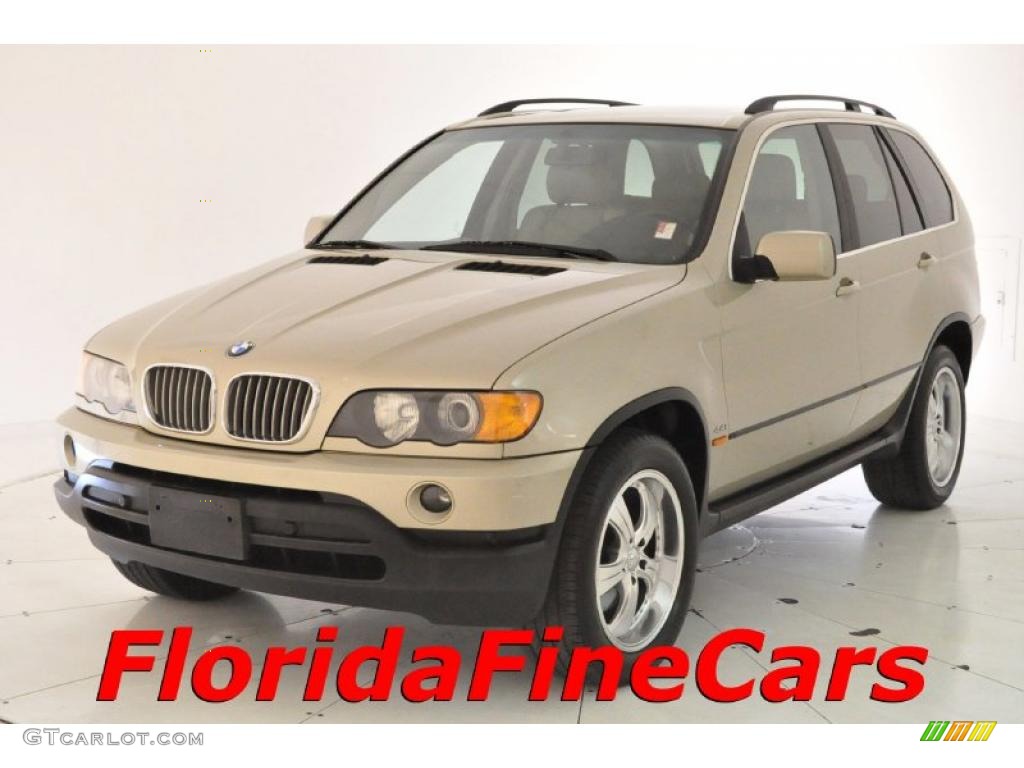 2001 X5 4.4i - Pearl Beige Metallic / Beige photo #1