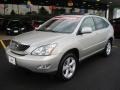 Millenium Silver Metallic - RX 350 Photo No. 1
