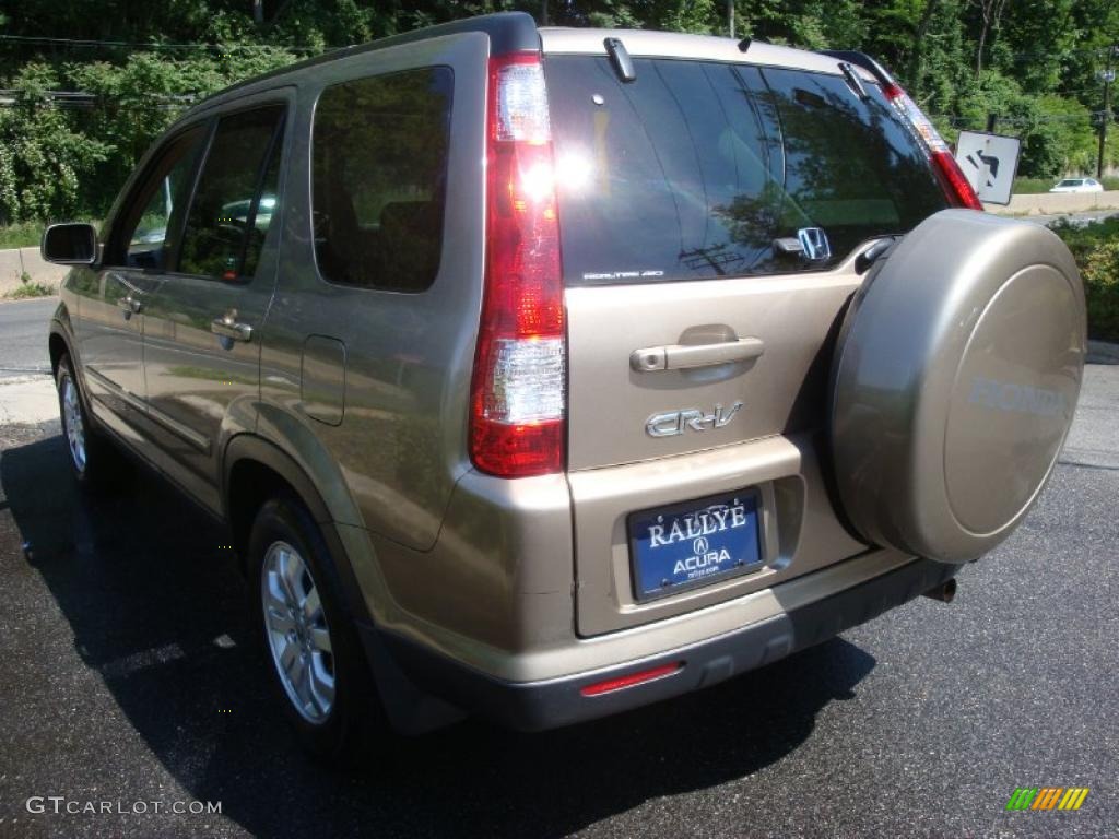 2005 CR-V Special Edition 4WD - Sahara Sand Metallic / Ivory photo #6