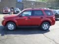 2010 Sangria Red Metallic Ford Escape XLT 4WD  photo #6