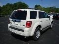 2010 White Suede Ford Escape Limited V6 4WD  photo #3