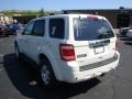2010 White Suede Ford Escape Limited V6 4WD  photo #5
