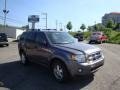 2009 Sterling Grey Metallic Ford Escape XLT V6 4WD  photo #1