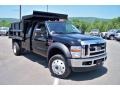 Black - F550 Super Duty XLT Regular Cab 4x4 Dump Truck Photo No. 3