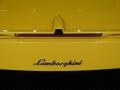 Giallo Midas (Pearl Yellow) - Gallardo Coupe Photo No. 12
