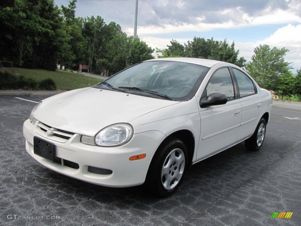 2002 Neon  - Stone White / Dark Slate Gray photo #2