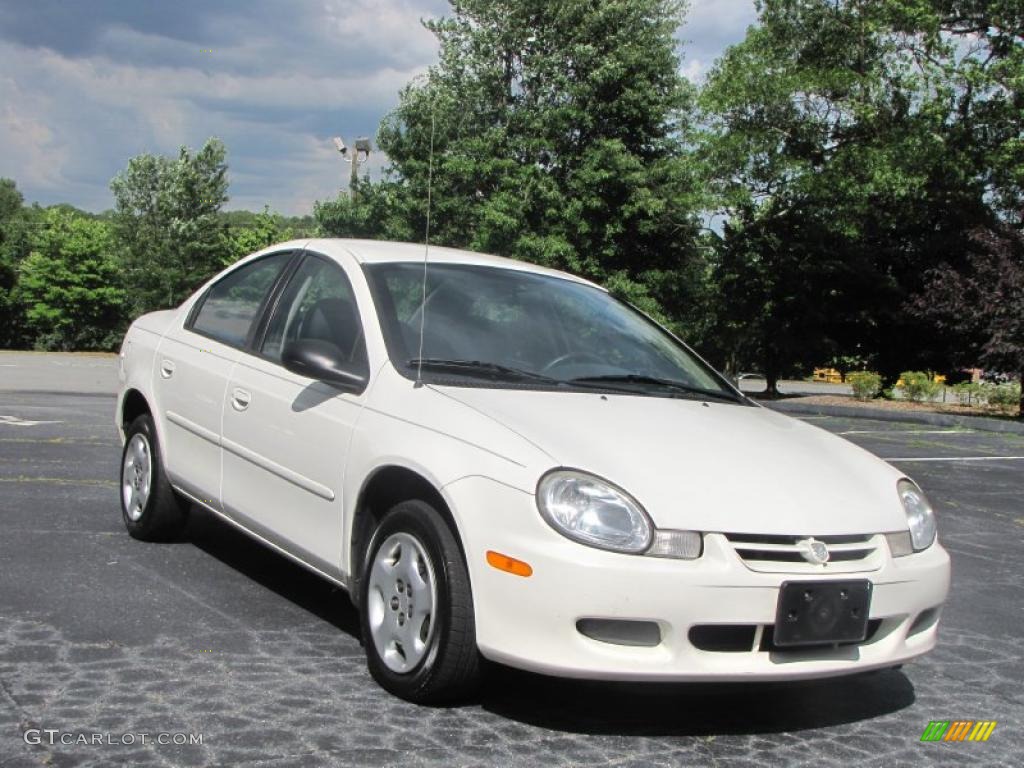 2002 Neon  - Stone White / Dark Slate Gray photo #3