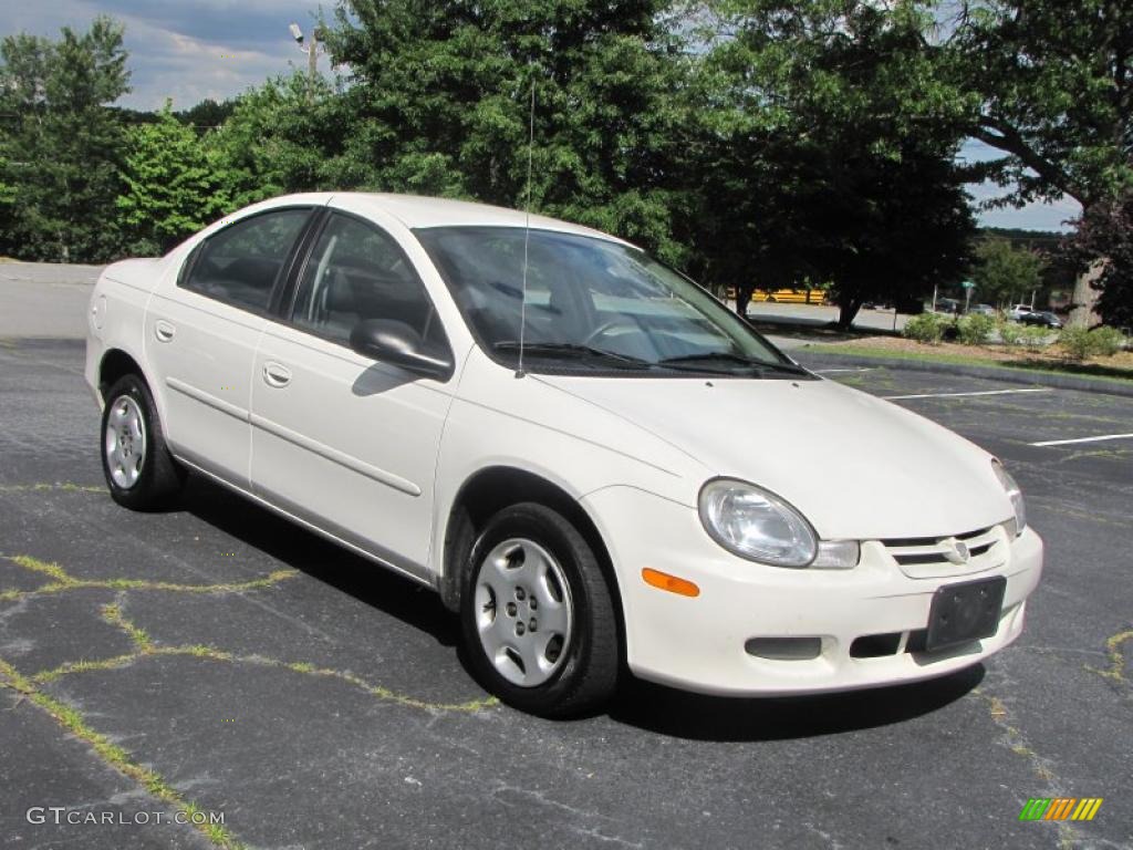 2002 Neon  - Stone White / Dark Slate Gray photo #5