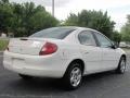 2002 Stone White Dodge Neon   photo #6