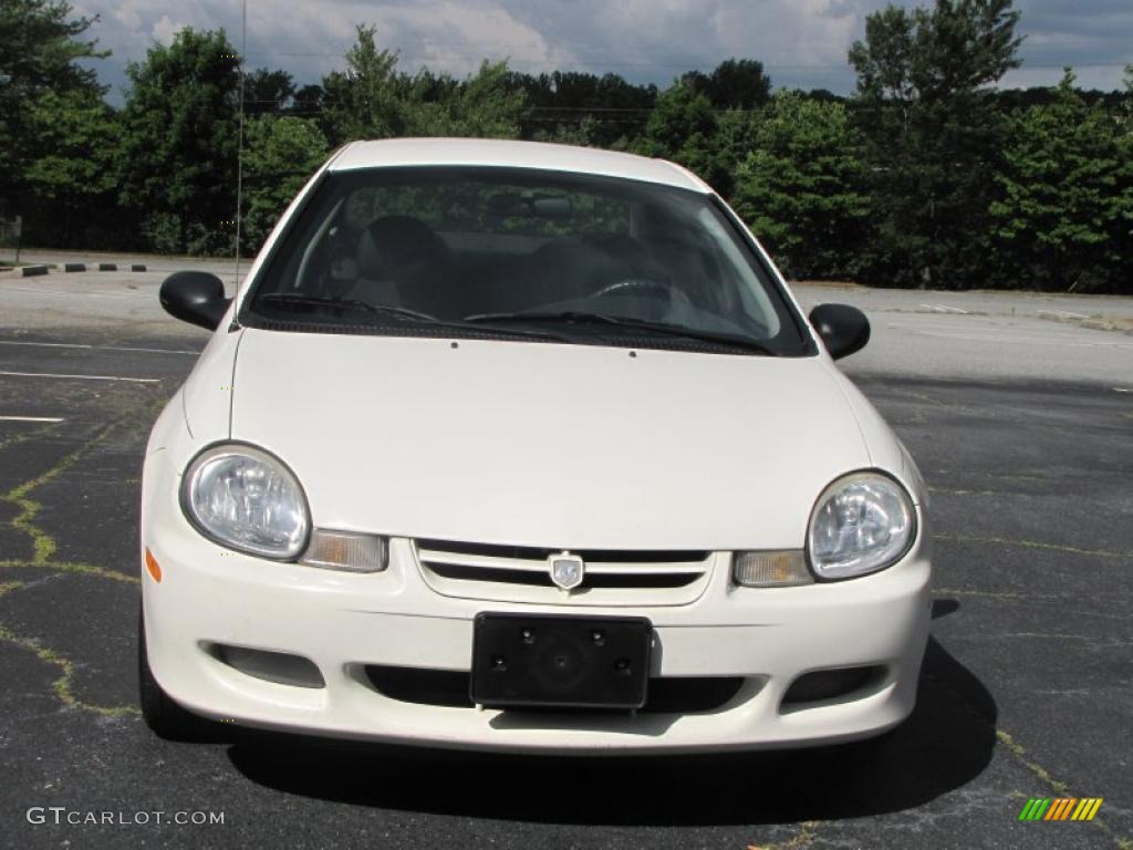 2002 Neon  - Stone White / Dark Slate Gray photo #7