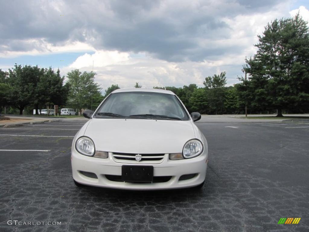 2002 Neon  - Stone White / Dark Slate Gray photo #8