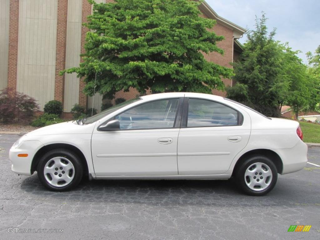 2002 Neon  - Stone White / Dark Slate Gray photo #10