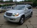 Titanium Silver Metallic - GX 470 Photo No. 5