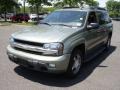 2004 Silver Green Metallic Chevrolet TrailBlazer EXT LS 4x4  photo #1