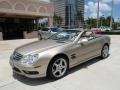 Desert Silver Metallic - SL 500 Roadster Photo No. 1