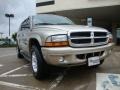 2003 Light Khaki Metallic Dodge Durango SLT 4x4  photo #1