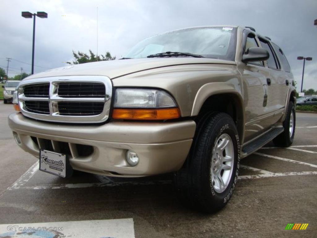 2003 Durango SLT 4x4 - Light Khaki Metallic / Taupe photo #7