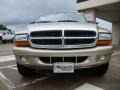 Light Khaki Metallic - Durango SLT 4x4 Photo No. 8