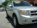 2008 Silver Metallic Ford Escape Limited  photo #2