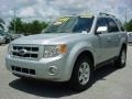 2008 Silver Metallic Ford Escape Limited  photo #14