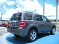 2010 Sterling Grey Metallic Ford Escape Limited  photo #3