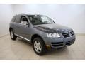 Offroad Grey Metallic - Touareg V6 Photo No. 1