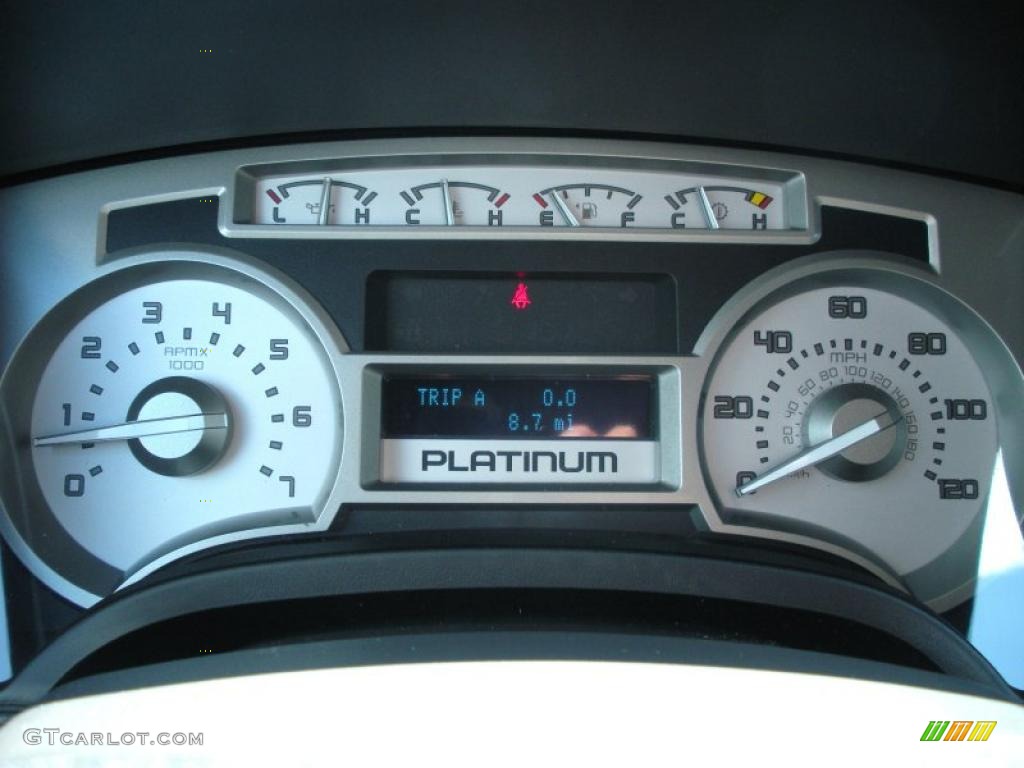 2010 F150 Platinum SuperCrew 4x4 - Ingot Silver Metallic / Sienna Brown Leather/Black photo #9