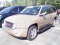 Sand Beige Metallic - Envoy SLT 4x4 Photo No. 2