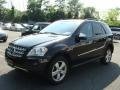 Black - ML 350 4Matic Photo No. 1