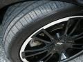 Super Black - Sentra SE-R Spec V Photo No. 12