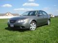 Willow Gray - Sonata GLS Photo No. 1
