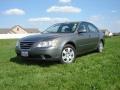 2009 Willow Gray Hyundai Sonata GLS  photo #1