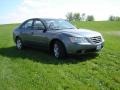 2009 Willow Gray Hyundai Sonata GLS  photo #7